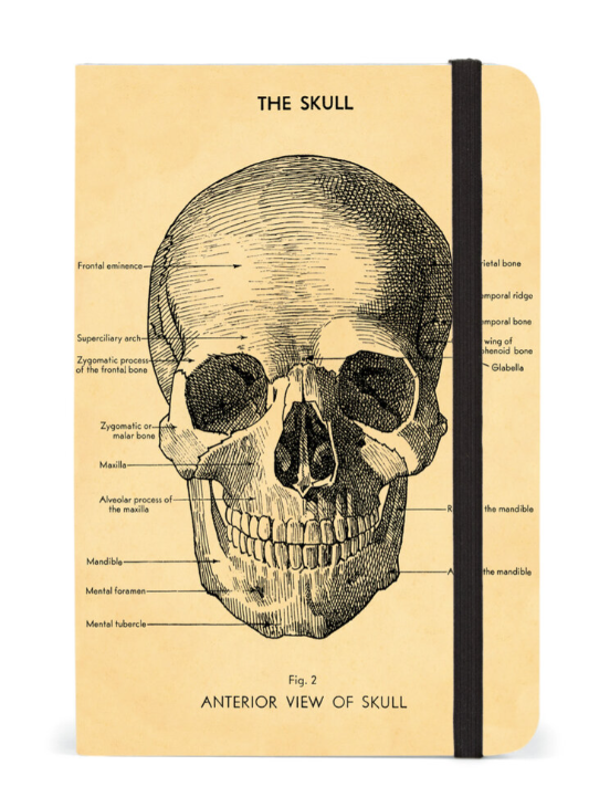 Cavallini & Co. Small Notebook - Skull