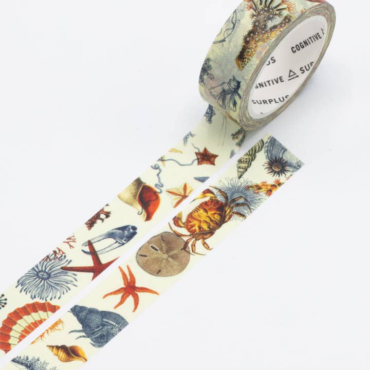 Sea Shore Washi Tape