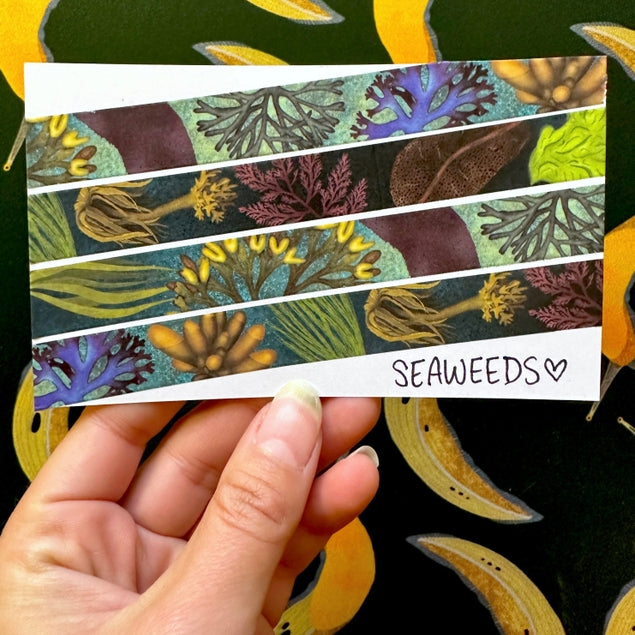 Seaweeds Washi Tape