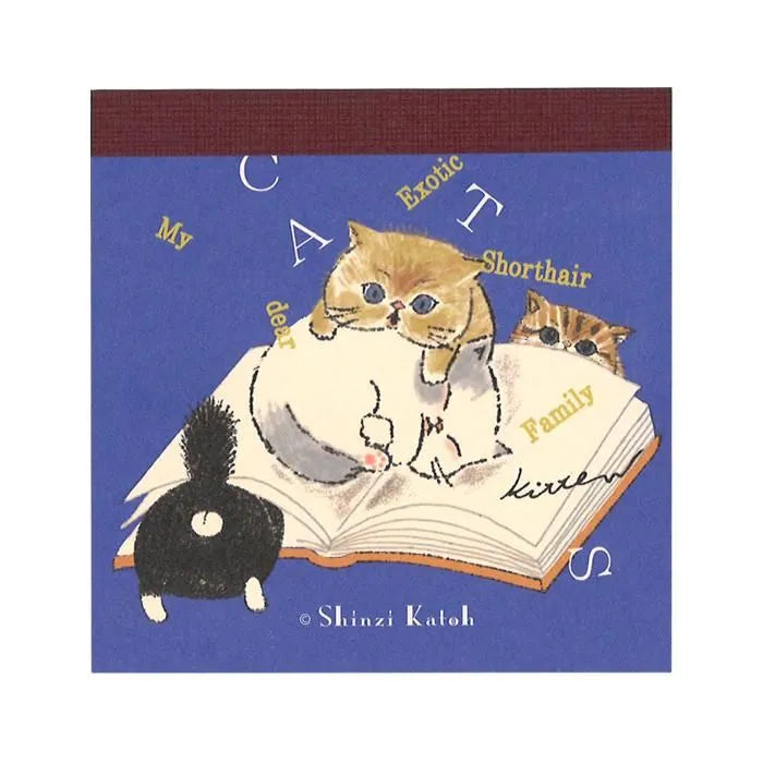 Living with a cozy cat, lazily sleeping, pretending to read a book, just walking. The cats don't try to convey anything, just simply existing and doing things that are seriously incomprehensible. The world softens a little and is colored with the gentle touch of these cats. This series depicts cats blending into such daily life.