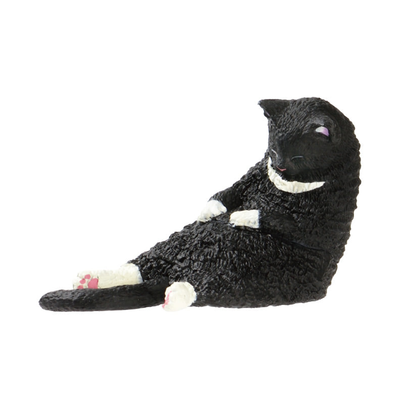 As part of the new "SLEEPY CAT" series This collection features cats in their relaxed and sleepy poses, capturing the tranquil moments of their everyday lives. These adorable figures are so charming you'll want to display and admire them all together! Approximately 7.2cm wide.
Lineup (6 Variants):
Tuxedo Cat
American Shorthair
Black Cat
Scottish Fold
Persian Cat