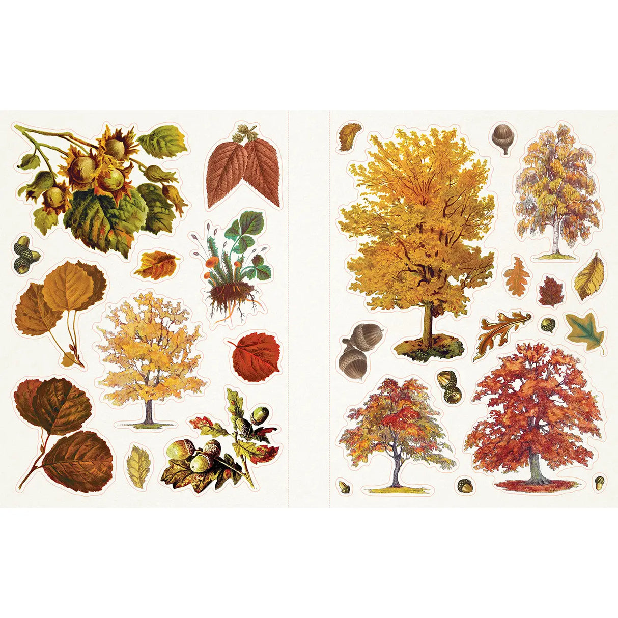 Sticker Emporium Cauldron of Curiosities Sticker Book Collection of autumn-themed illustrations including trees, leaves, and acorns on a white background.