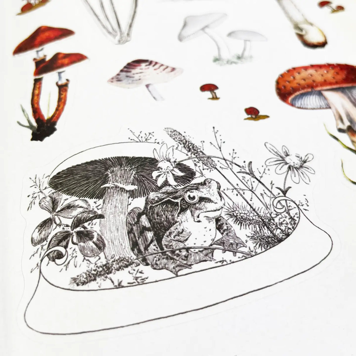 Sticker Emporium: Woodlandia Sticker Book Illustration of a frog and mushroom with additional mushrooms in the background on a white background.