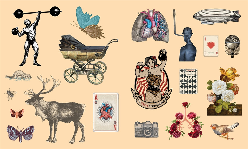 Whether you’re an artist, a decorator, or a sticker collector, Sticker Studio: Arcana will immerse you in creativity and place more than 400 gorgeous, full-color vintage stickers in your hands.