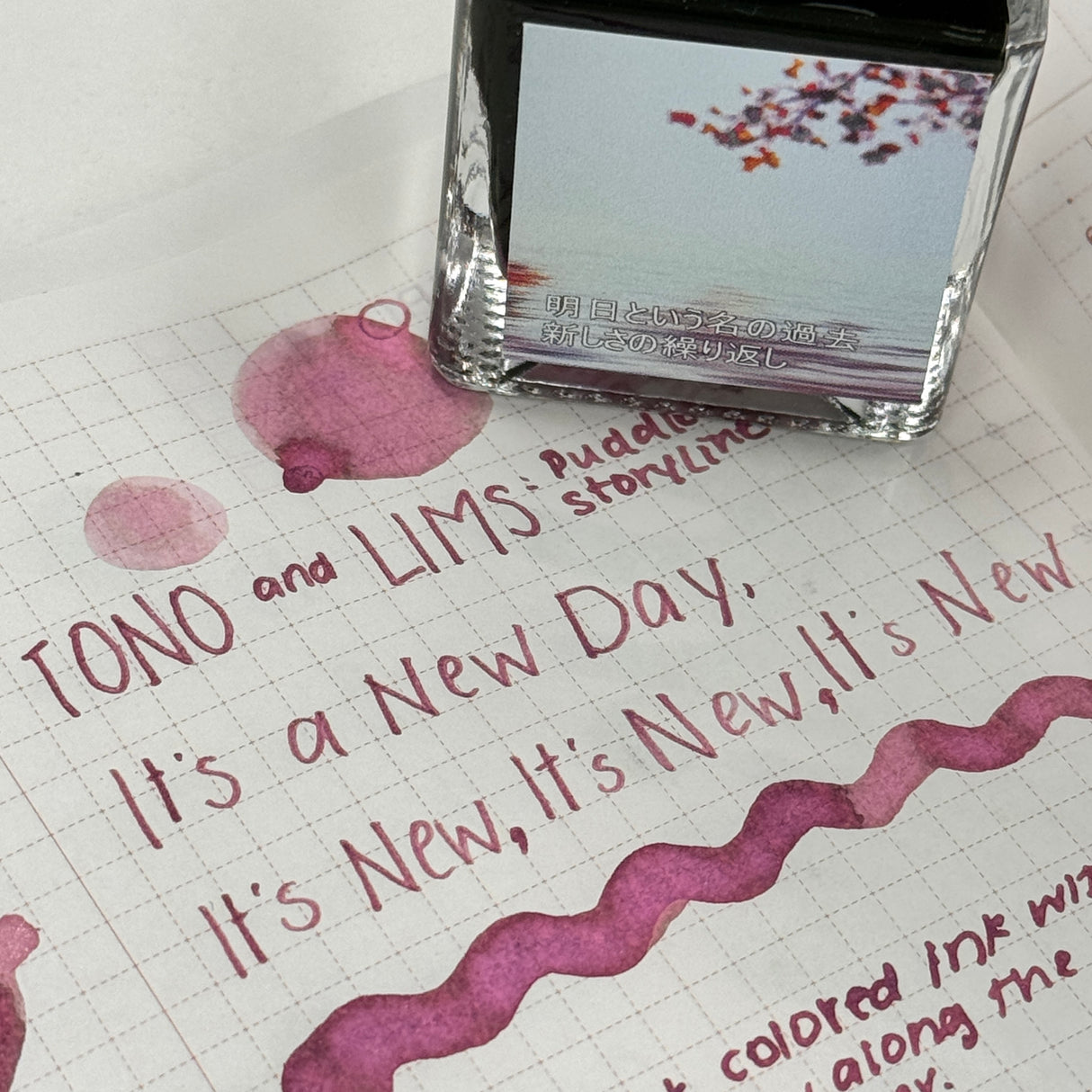 TONO & LIMS Ink - Puddle Story - It's a New Day, It's New