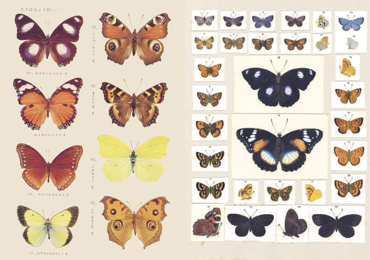 With hundreds of sticky curiosities ready to beautify your junk journal or collage, this book is the perfect companion to The Ransom Note Sticker Book. This cute little sticker book is packed with extraordinary images that can be used for scrapbooks, journals, collaging, and many other creative pursuits.
The stickers are all vintage illustrations. There are 40 spreads of stickers, over 600 altogether, presented in categories and interspersed with quirky vintage backgrounds. Examples include: Vintage cute t