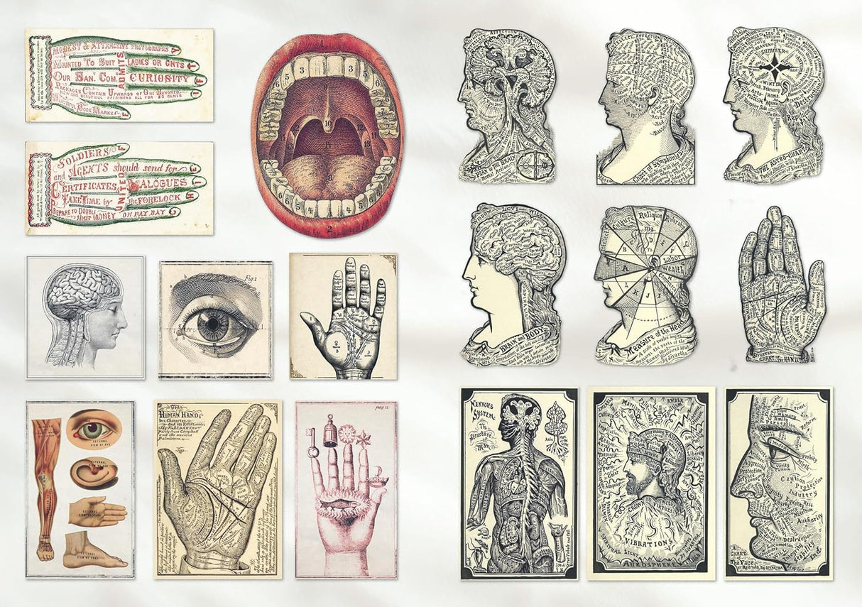 With hundreds of sticky curiosities ready to beautify your junk journal or collage, this book is the perfect companion to The Ransom Note Sticker Book. This cute little sticker book is packed with extraordinary images that can be used for scrapbooks, journals, collaging, and many other creative pursuits.
The stickers are all vintage illustrations. There are 40 spreads of stickers, over 600 altogether, presented in categories and interspersed with quirky vintage backgrounds. Examples include: Vintage cute t