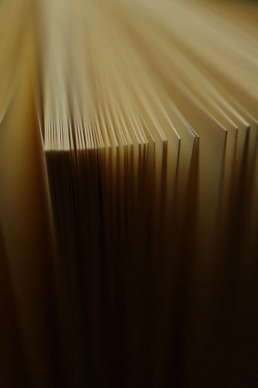 Distinguished journals disguised as antique books.
Original 1st print title pages
100 % soft cotton cloth exterior
Features an intricate haptic embossing
256 pages of unruled extra-thick 120g paper
Includes ruled template sheet (for the lined inclined)
Lies flat, opens at 180°