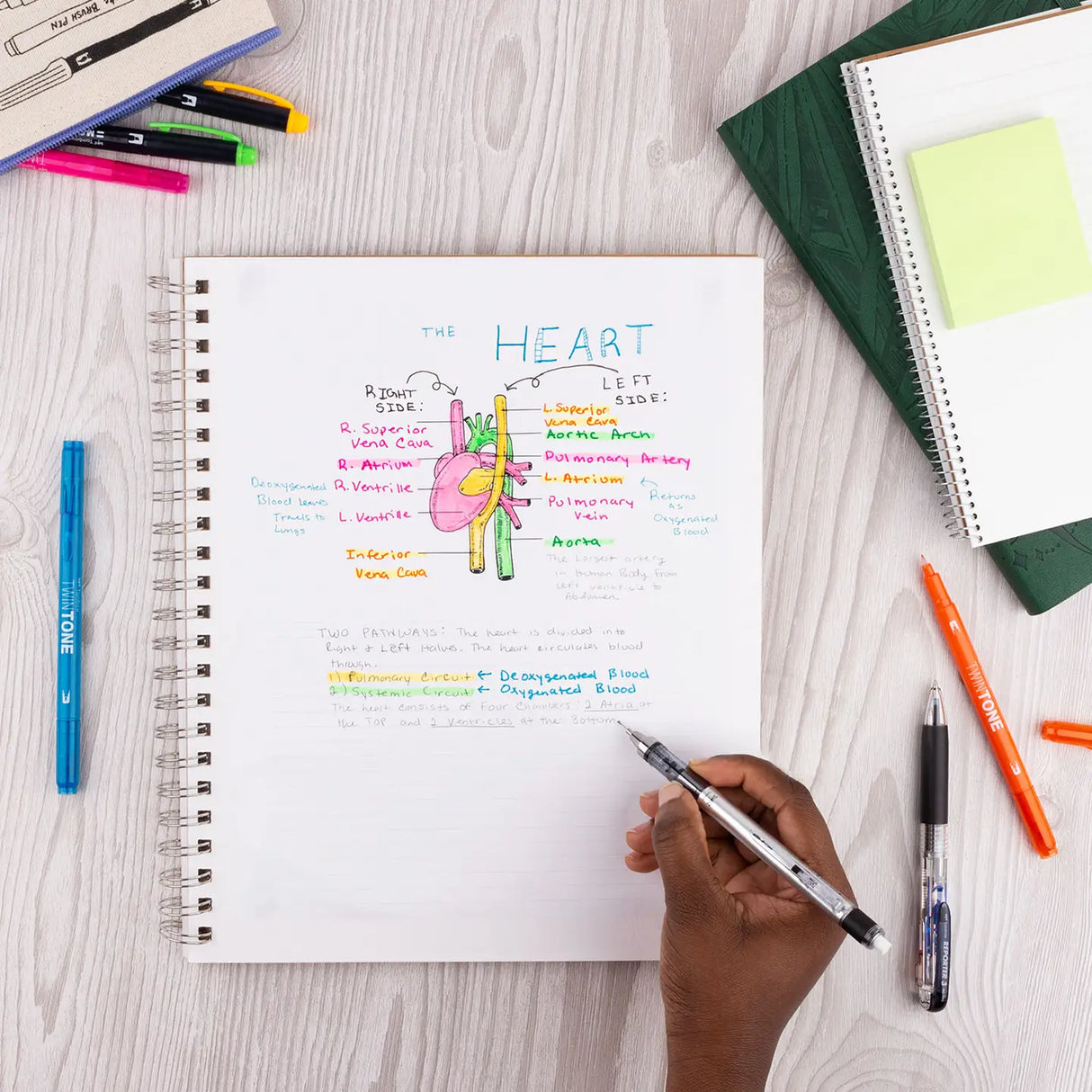 Make your notes pop with Tombow’s Creative Notetaking Kit. Whether you’re writing traditional notes, sketch noting, mind mapping, or creating in your planner or journal, this kit has everything you need for bright, colorful notes. Easily draw, write and highlight with coordinating colors to keep your notes organized.