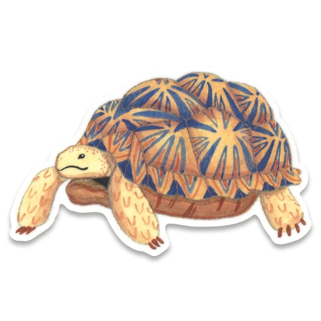 Tortoise Sticker
