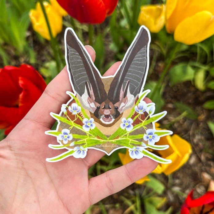 Townsend's Big-Eared Bat Portrait Sticker