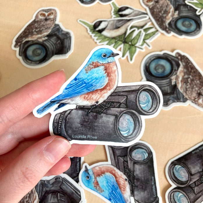 Eastern Bluebird On Binoculars Vinyl Sticker
