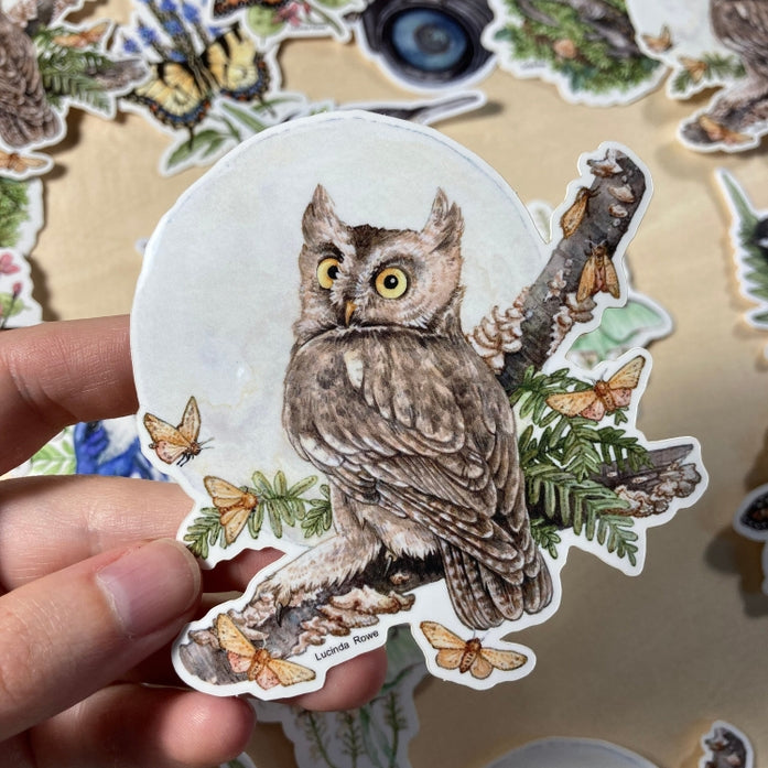 Screech Owl with Moths Vinyl Sticker