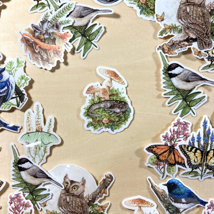 Pegatina de vinilo con salamandra moteada y hongos colorados