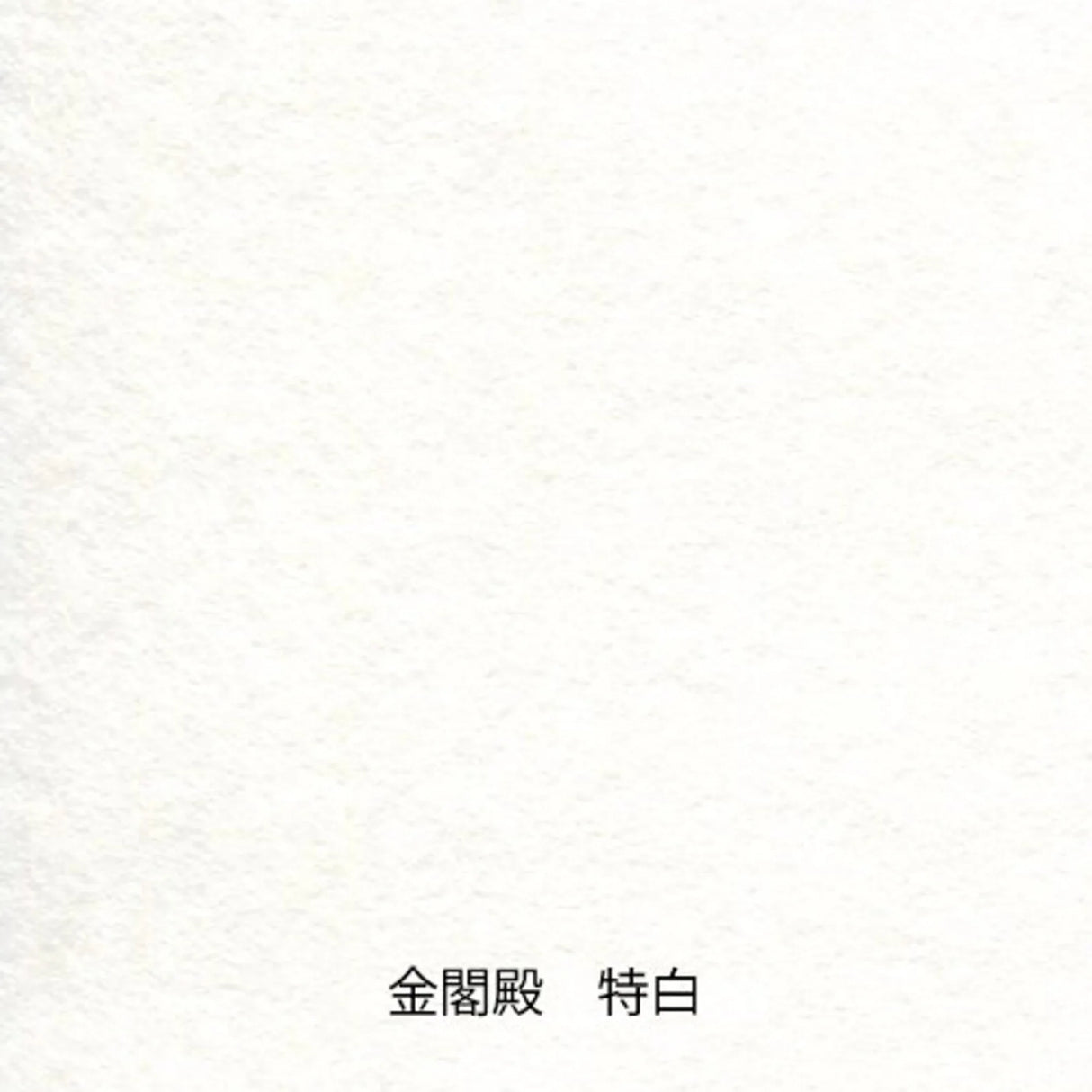 Yamamoto Paper Tasting - Washi Vol.2