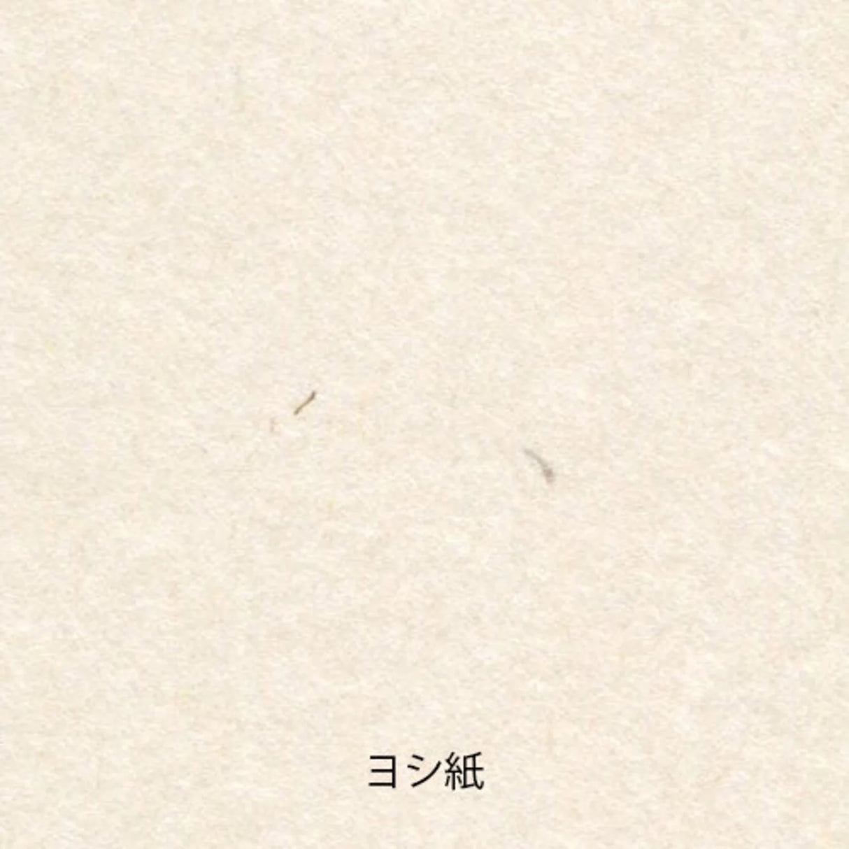 Yamamoto Paper Tasting - Washi Vol.2