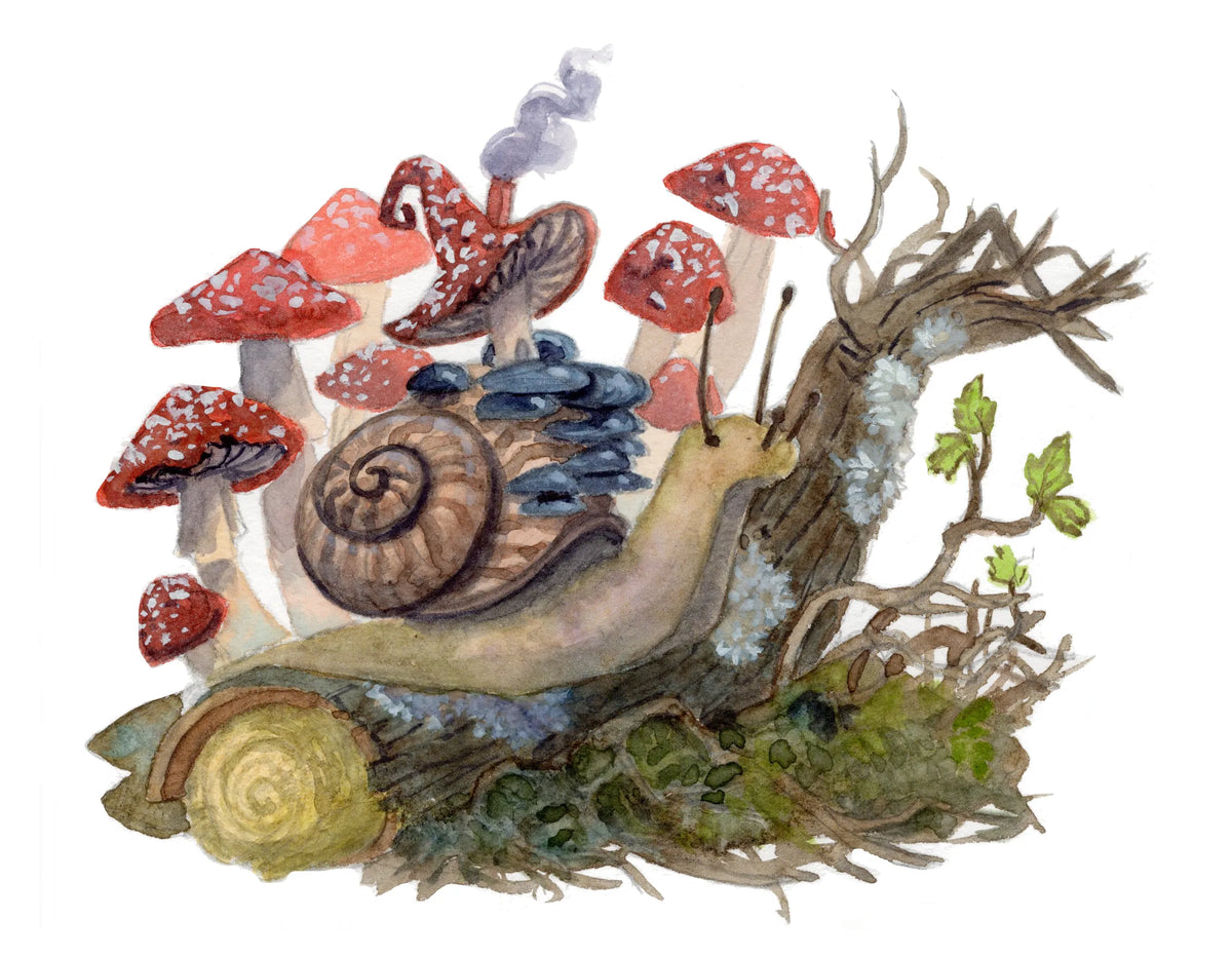 Venture into a magical realm with this collection of spellbinding fantasy projects. Artist Kiara Maharaj becomes your guide on a grand adventure where your brush becomes your wand and your paints become your potions.