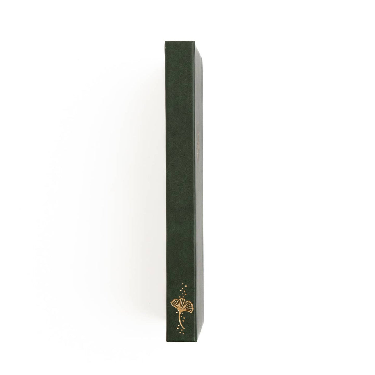 Archer and Olive Notebook: Gingko Leaf Limited Edition