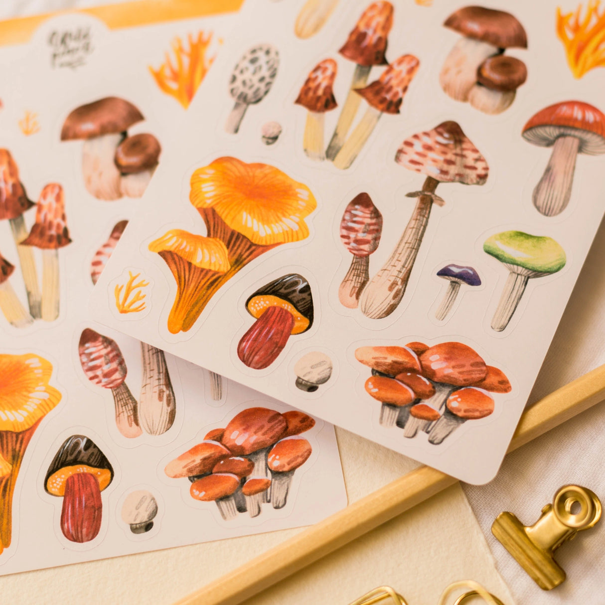 Wild Pencil Studio Sticker Sheet - Mushrooms