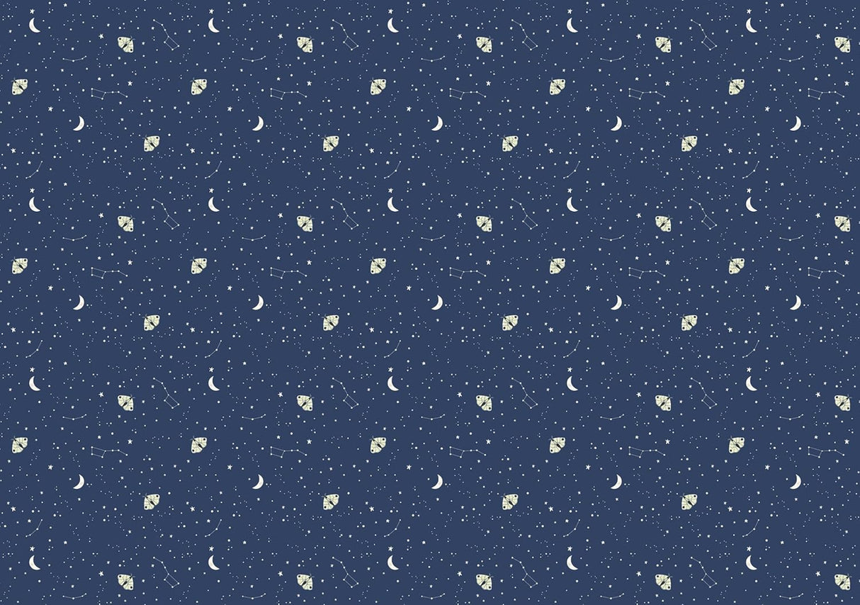 Beautiful wrapping paper and gift tags inspired by nature, from Flow, the international brand that celebrates creativity, mindfulness, and the pleasures of paper. Tear out the decorated sheets along the perforations and unfold them to their full size before wrapping a parcel and affixing a matching gift tag.