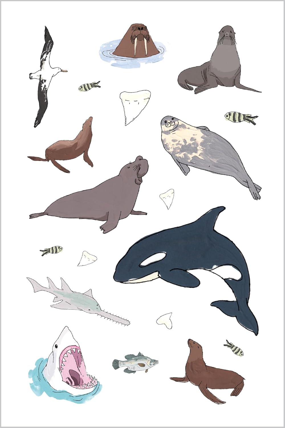 Wildlife Anatomy Sticker Book
Julia Rothman's Wildlife Anatomy illustrations are featured in this collection of more than 500 stickers, including amazing mammals, birds, amphibians, and insects from around the world. Beloved illustrator Julia Rothman's playful art of wild animals from around the world, first presented in her book Wildlife Anatomy, is featured on 500 colorful stickers, perfect for decorating surfaces and using in craft and collage projects. From the armadillo to the aye-aye, the ocelot to t