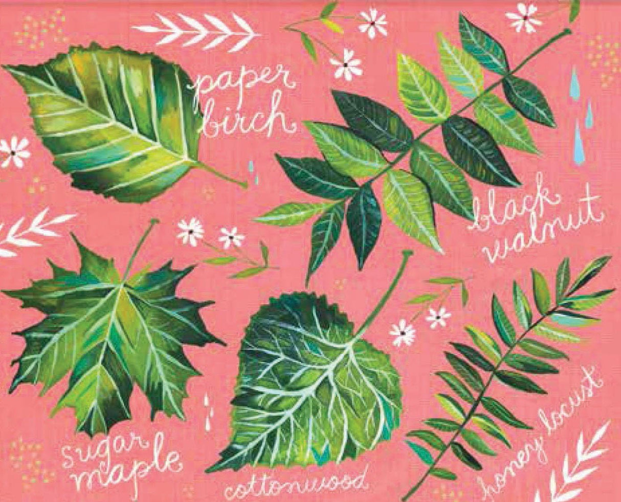 With Love, Adventure, and Wildflowers Notes