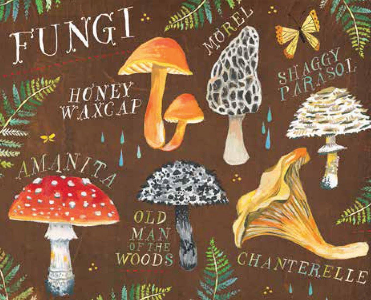 With Love, Adventure, and Wildflowers Notes