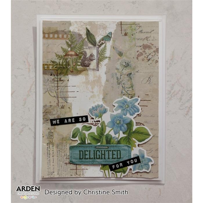 Arden Creative Studio Maker Series Ledger Wings 01 4 in x 6 in Clear Stamp Set