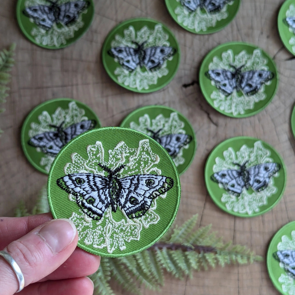 Polyphemus Moth with Lichen Patch