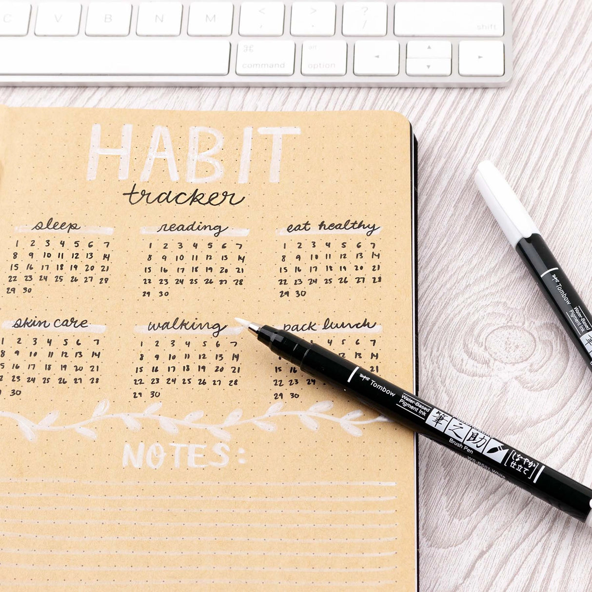 Fudenosuke Calligraphy Brush Pens White 2-Pack