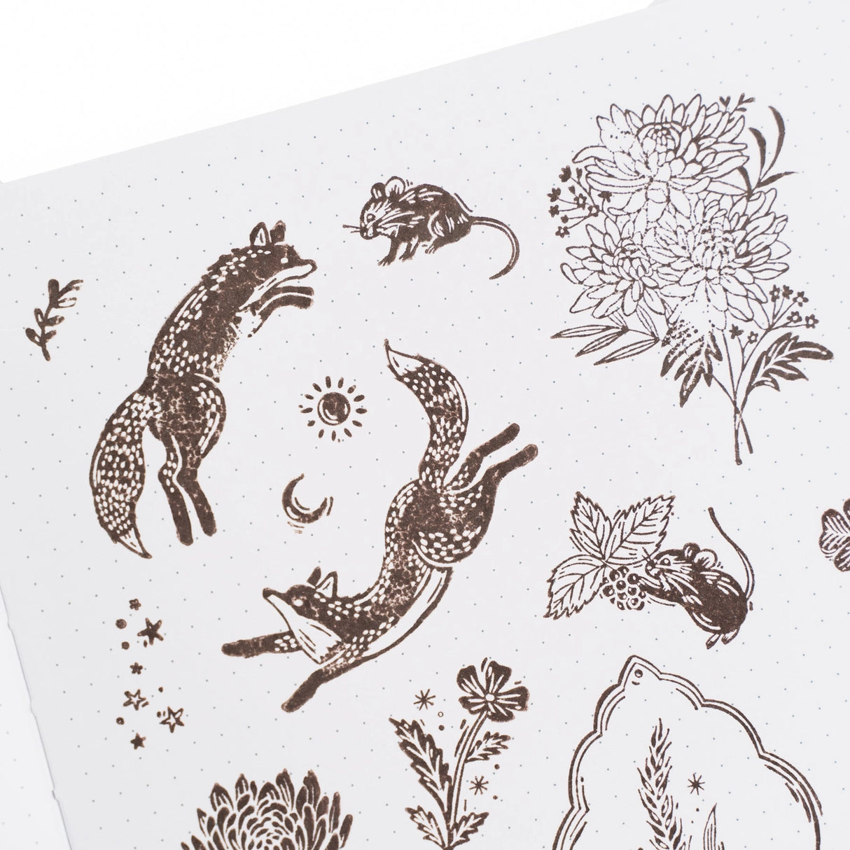 Archer and Olive Acrylic Stamps: Forest Findings