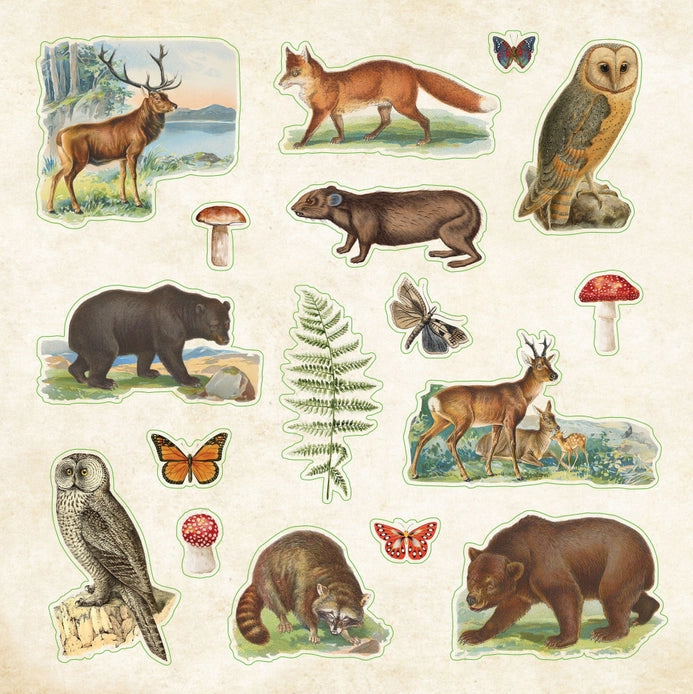 Zoological Ephemera Sticker Book (680+ stickers)