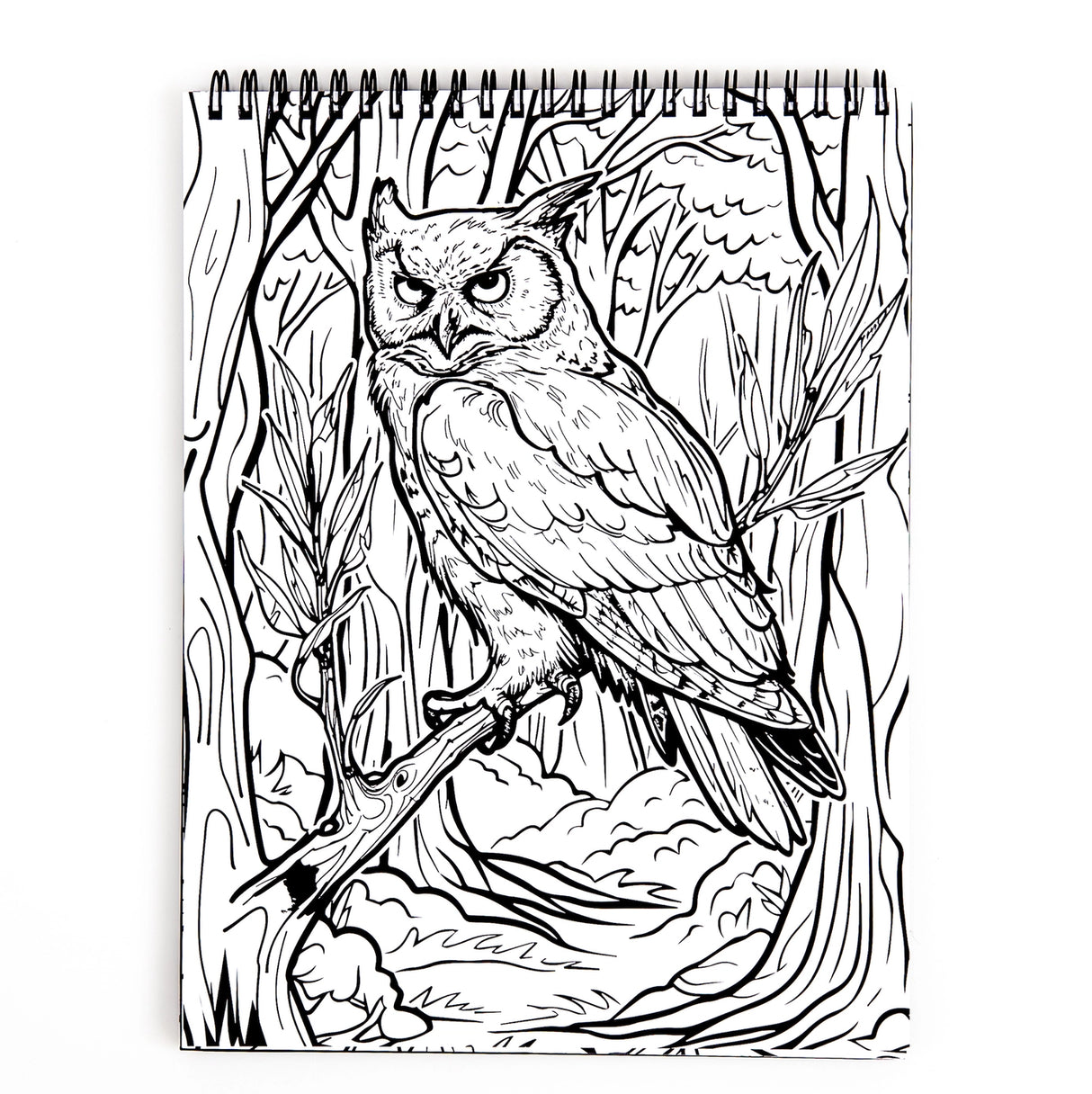 Waiting For the Night Coloring Book