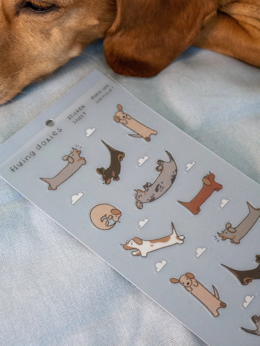 There, up in the sky! Dachshunds everywhere!
Kiss cut PET sticker sheet
Includes 1 sheet 7.5" x 3.5"