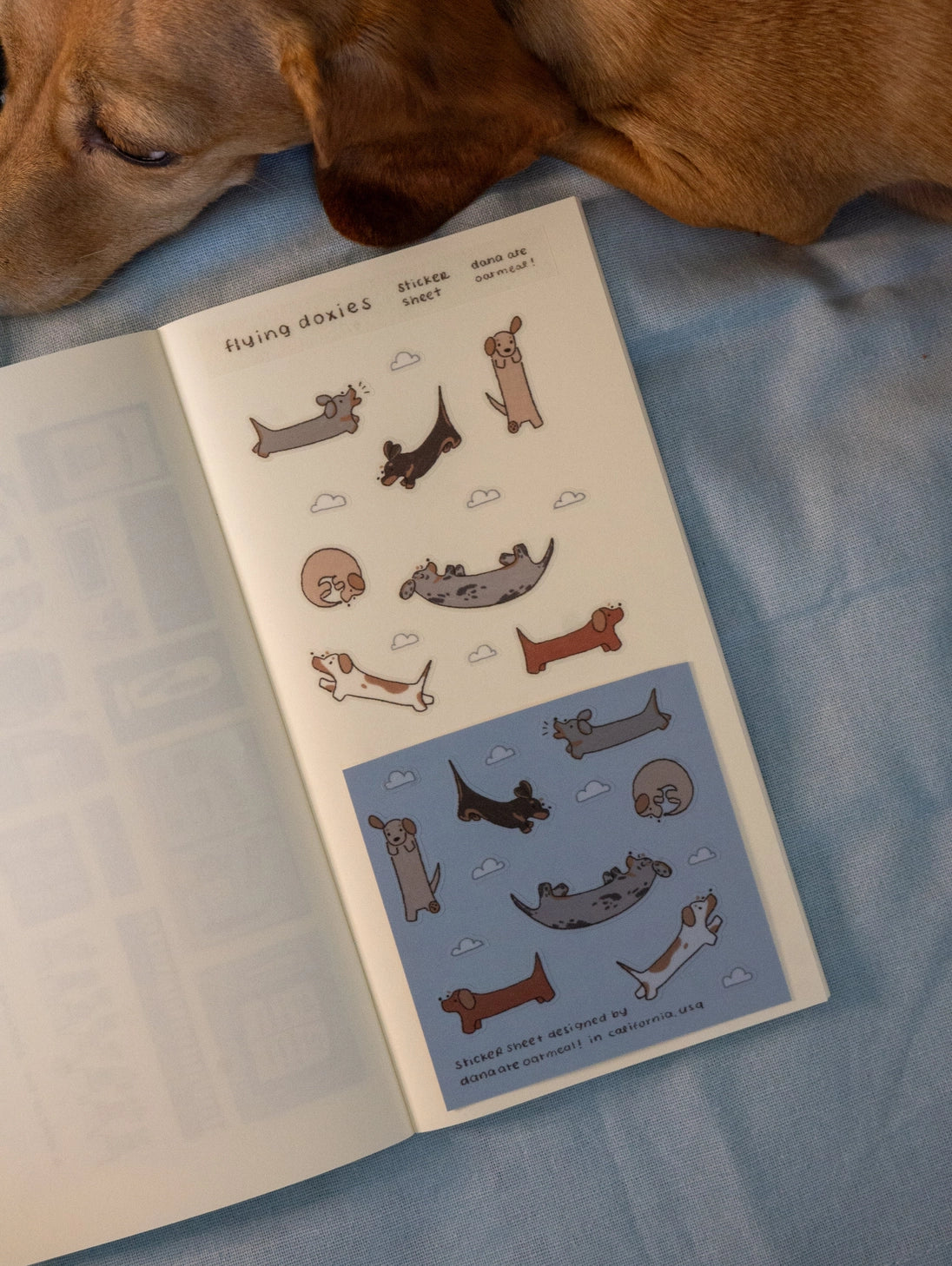 There, up in the sky! Dachshunds everywhere!
Kiss cut PET sticker sheet
Includes 1 sheet 7.5" x 3.5"