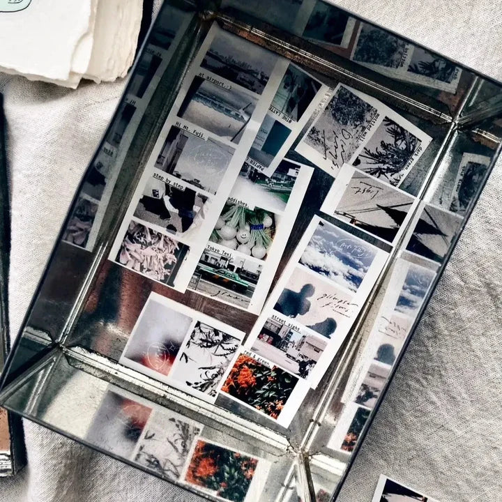 Some Sort of Fern Matte PET Tape - Daylights