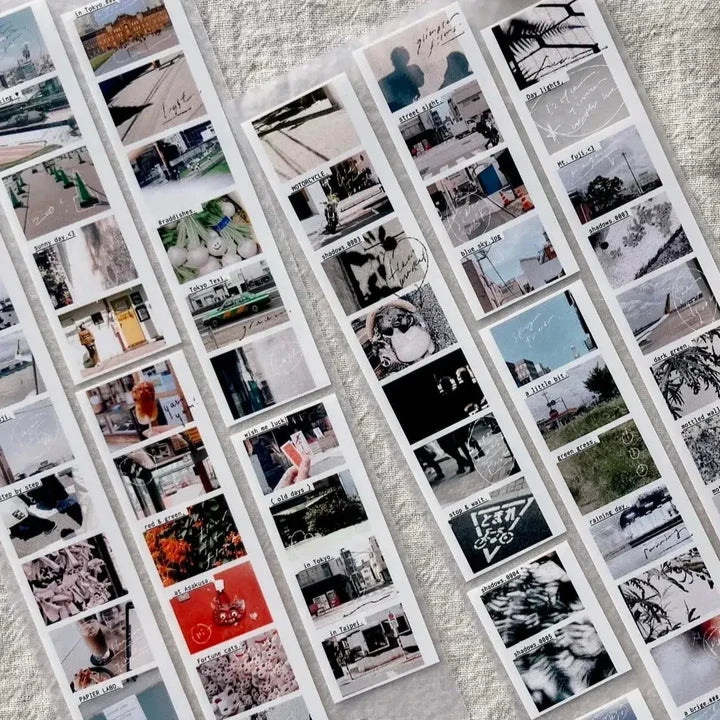 Some Sort of Fern Matte PET Tape - Daylights