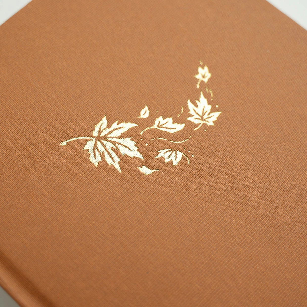 Archer and Olive Notebook: Swirling Leaves