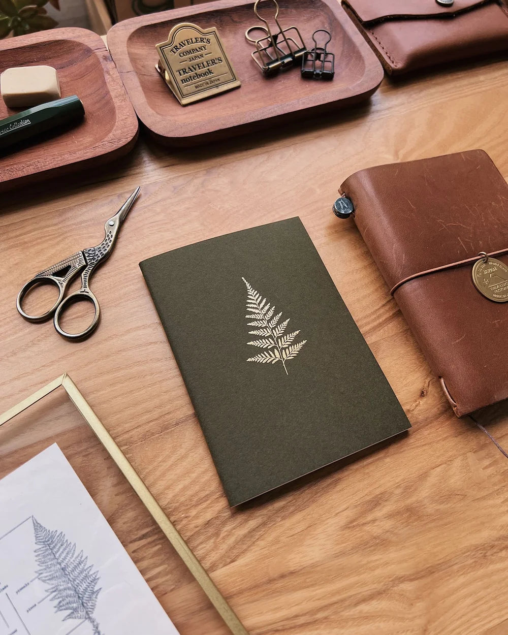 Sarica Studio Fern Notebook (Passport TN Size)
