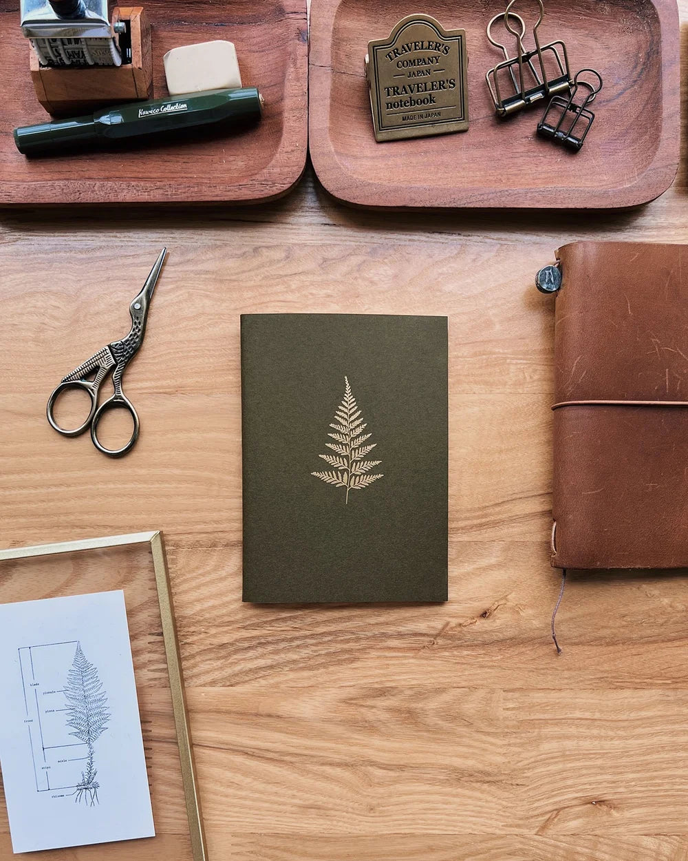 Sarica Studio Fern Notebook (Passport TN Size)