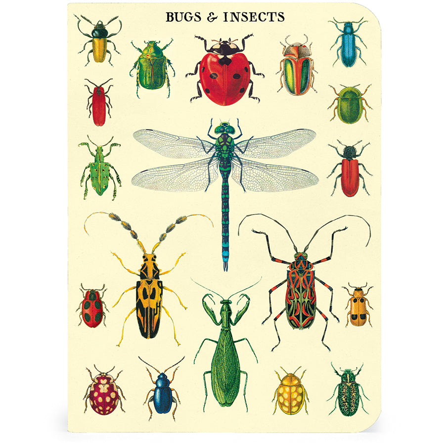 Juego de minicuaderno de insectos y bichos, paquete de 3 Cavallini & Co.