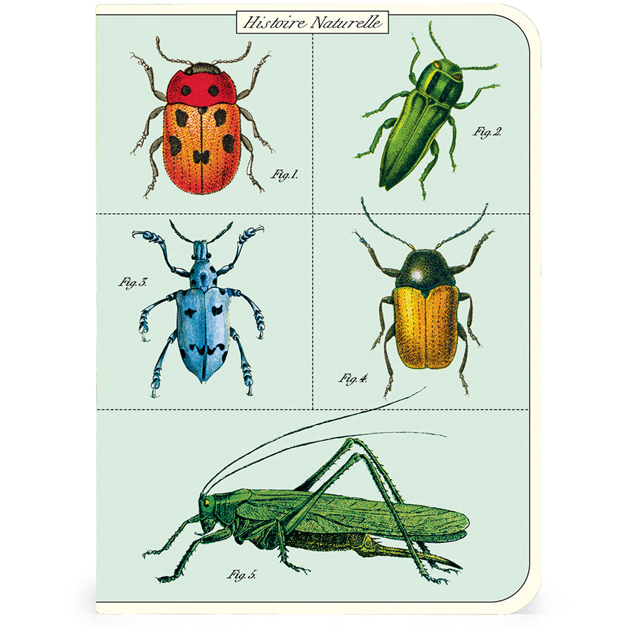 Juego de minicuaderno de insectos y bichos, paquete de 3 Cavallini & Co.