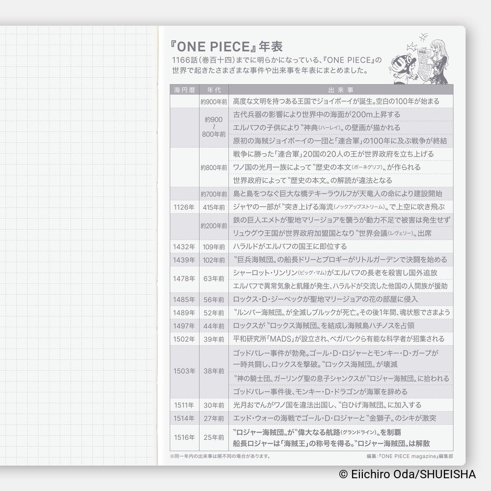 Hobonichi Techo 2027 Japanese Original Book - One Piece Edition