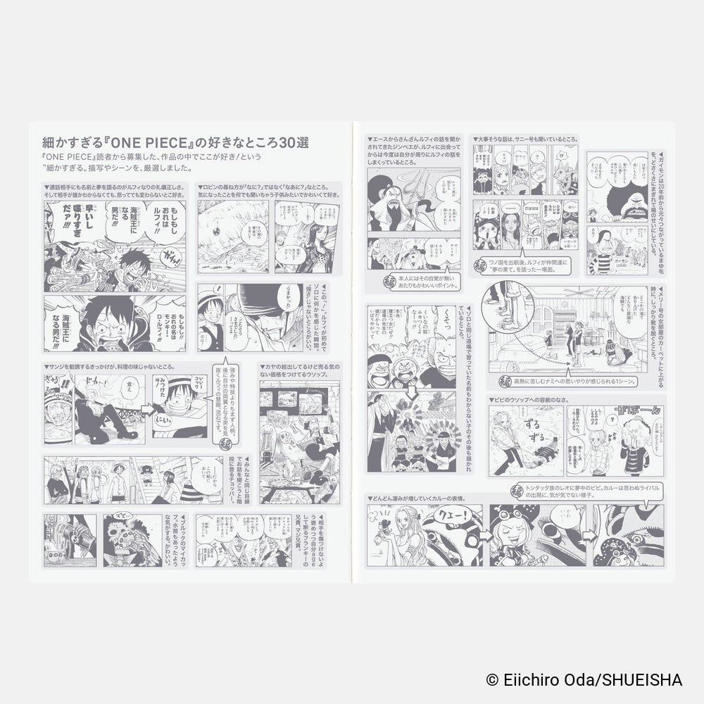 Hobonichi Techo 2027 Japanese Original Book - One Piece Edition