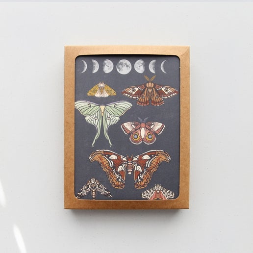 Juego de 8 cartas en caja para uso diario de Moonlit Moths