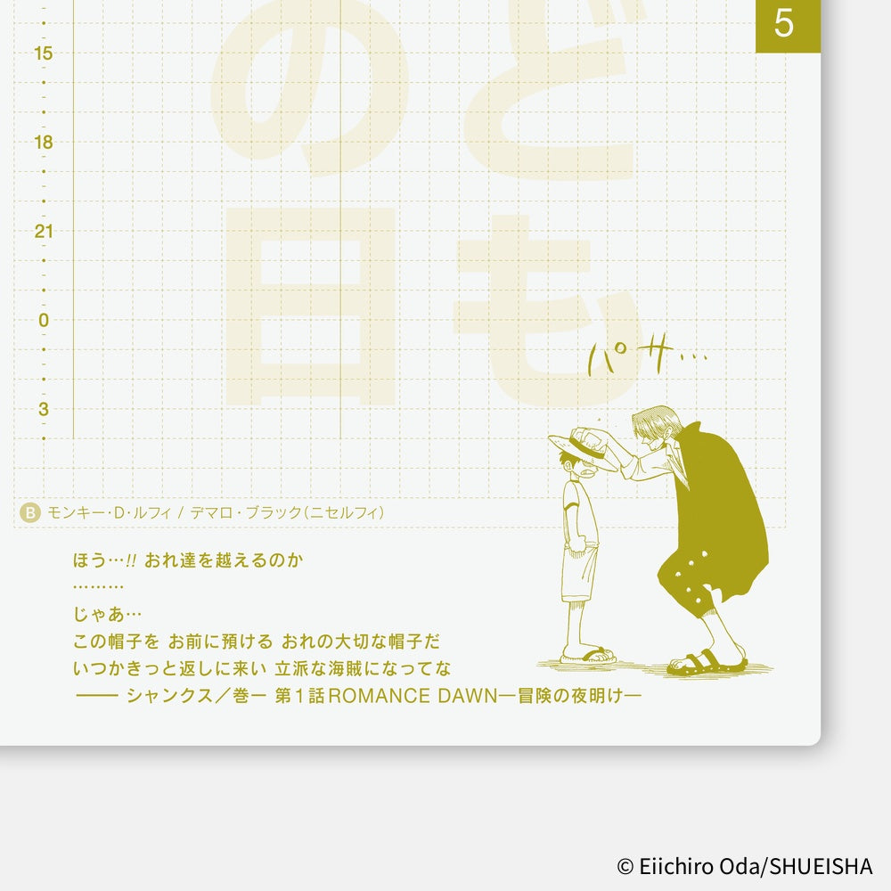 Hobonichi Techo 2026 Japanese Original Book - One Piece Edition (January Start)