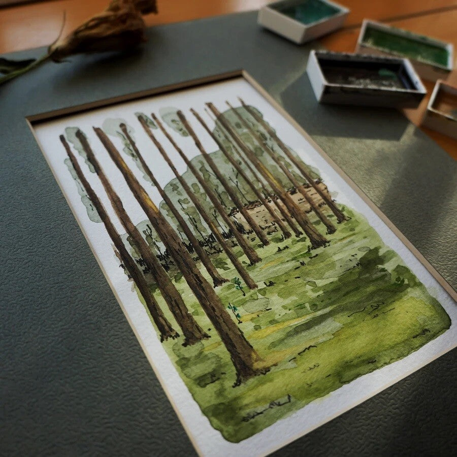 Paleta de acuarela Kuretake Gansai Tambi: juego de 48 colores