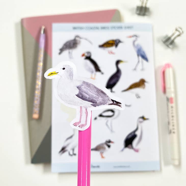 Pegatinas de aves costeras británicas