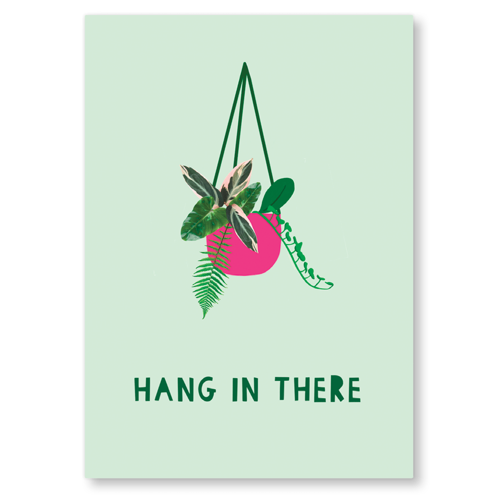 Hanging Plant Hang In There Postcard