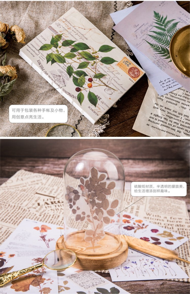 Pegatinas de papel de calco con fondo de bosque (6 hojas)